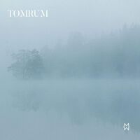 Mattimatti - Tomrum vinyl cover