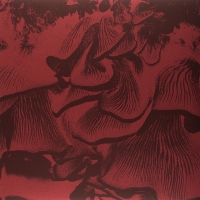 Maurizio Abate - Live At Elastico vinyl cover