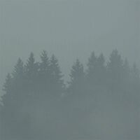 Max Loderbauer - Donnerwetter vinyl cover