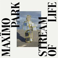 Maxïmo Park - Stream of Life vinyl cover