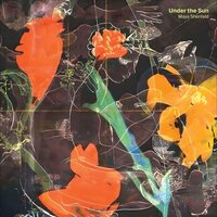Maya Shenfeld - Under the Sun vinyl cover