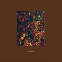 Mccarthy - I Am A Wallet vinyl cover