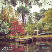McEnroe - Rugen Las Flores vinyl cover