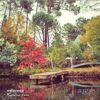 Mcenroe - Rugen Las Flores vinyl cover