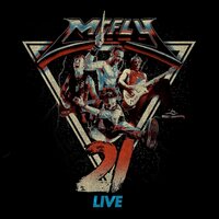 McFly - 21 Live vinyl cover
