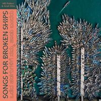 Md / Otto Pallavi - Songs For Broken Ships vinyl cover