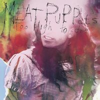Meat Puppets - Too High To Die vinyl cover