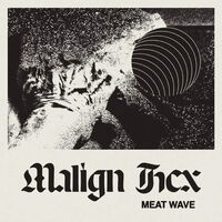 Meat Wave - Malign Hex vinyl cover