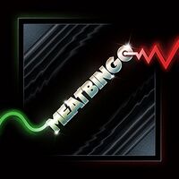 Meatbingo - The Error Of My Wavs vinyl cover