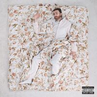 Mecna - Stupido Amore vinyl cover