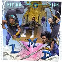 Med Lmd (Lmno - Flying High vinyl cover