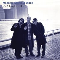 Medeski Martin & Wood - It's a Jungle in Here vinyl cover