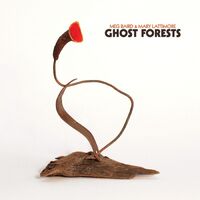 Meg Baird And Mary Lattimore - Ghost Forests vinyl cover