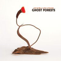 Meg Baird And Mary Lattimore - Ghost Forests vinyl cover
