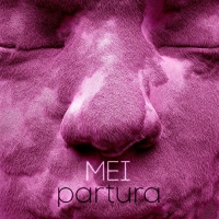 Mei - Partura vinyl cover