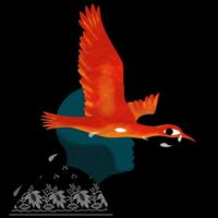 Meimuna - Bestiaire II vinyl cover