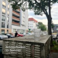 Meister - Schneeflocken Im Sommer vinyl cover