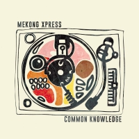 Mekong Xpress - Common Knowledge vinyl cover