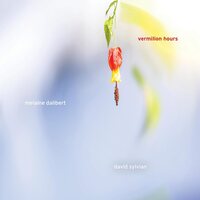Melaine Dalibert - Vermillion Hours vinyl cover