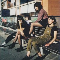 Melenas - Dias Raros vinyl cover