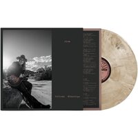 Melissa Etheridge - Rise vinyl cover