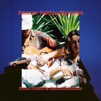 Melodiesinfonie - Forever Faking Memoirs vinyl cover