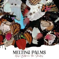 Melting Palms - Noise Between The Shades vinyl cover