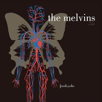 Melvins - Freak Puke vinyl cover