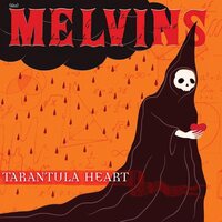 Melvins - Tarantula Heart vinyl cover