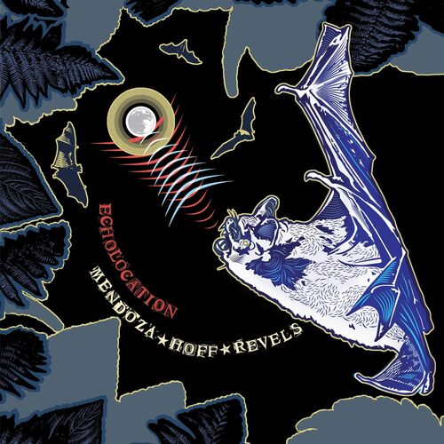 Mendoza Hoff Revels - Echolocation vinyl cover