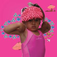 Mermaid Chunky - Vest vinyl cover