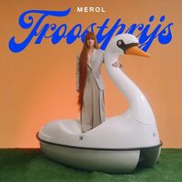 Merol - Troostprijs (Limited) vinyl cover