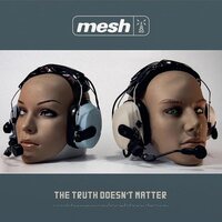 Mesh - The Truth Doesn't Matter vinyl cover