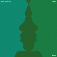 Meshell Ndegeocello - Synonym vinyl cover
