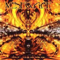 Meshuggah - Nothing vinyl cover