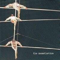 Messthetics - Messthetics vinyl cover