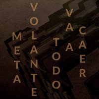 Meta Volante - Meta Volante vinyl cover