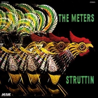 Meters - Struttin vinyl cover