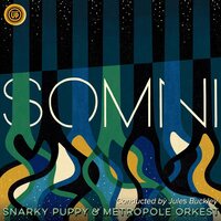 Metropole Orkest Snarky Puppy & Jules Buckley - Somni vinyl cover