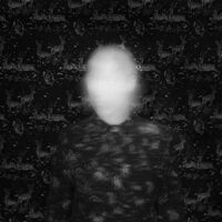 Mezzanine Swimmers - Black Cat In Heat vinyl cover