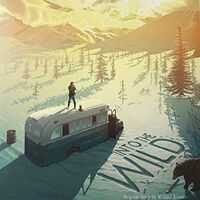 Michael Brook - Into The Wild Original Score vinyl cover