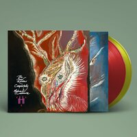 Michael Cashmore - The Snow Abides Completely vinyl cover
