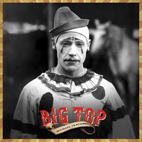 Michael Fracasso - Big Top vinyl cover