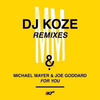 Michael Mayer & Joe Goddard - For You vinyl cover