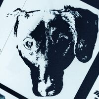 Michael Orchestra Leonhart - Denial Original Soundtrack vinyl cover