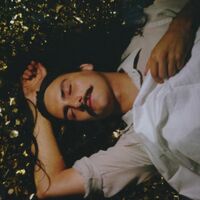 Michael Rault - It's A New Day Tonight vinyl cover