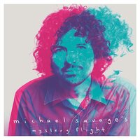 Michael Savage - Mystery Flight vinyl cover