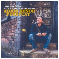 Michael & The Red E Head - Adios Senor Pussycat vinyl cover
