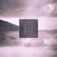 Michal Menert & The Pretty Fantastics - From The Sea vinyl cover