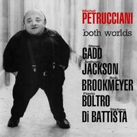 Michel Petrucciani - Both Worlds vinyl cover